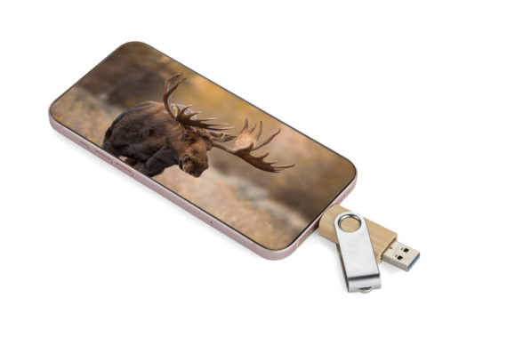 USB Flash disk 3.0 OTG TWISTER-PRO 32GB