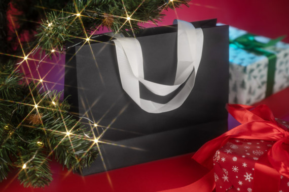 Papírová taška DUNA velká