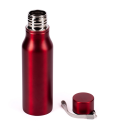FUN TRIPPING lahev na pití z oceli 700 ml, stříbrná