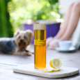 GOURMET skleněná lahev 600 ml se sítkem na čaj, tmavě modrá