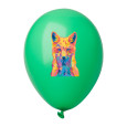 CreaBalloon Pastel balonky v pastelových barvách