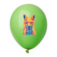 CreaBalloon Pastel balonky v pastelových barvách