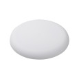 frisbee