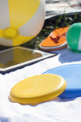 frisbee