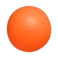 plážový míč (ø28 cm)