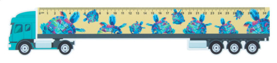 30 cm pravítko, kamion