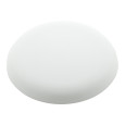 frisbee