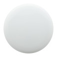 frisbee