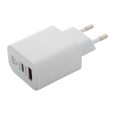 RABS USB nástěnná nabíječka