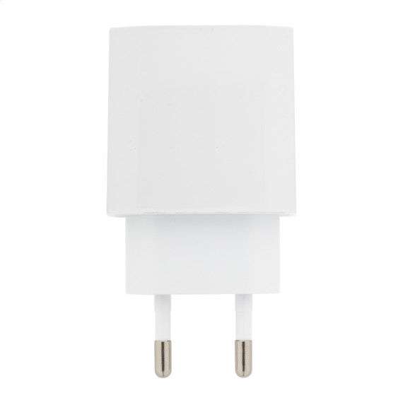RABS USB nástěnná nabíječka