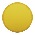 RPET frisbee