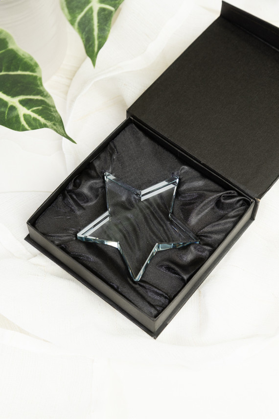 Crystar trofej s hvězdou
