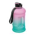 Láhev na pití Gainesville 1 300 ml