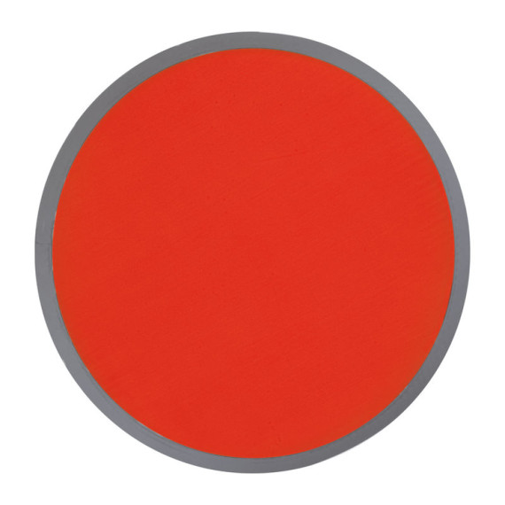 Foldable frisbee with a polyester case