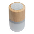 Bluetooth reproduktor Haarlem