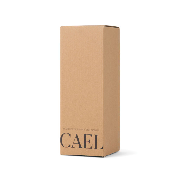 Nerezová láhev VINGA Cael 600 ml z RCS
