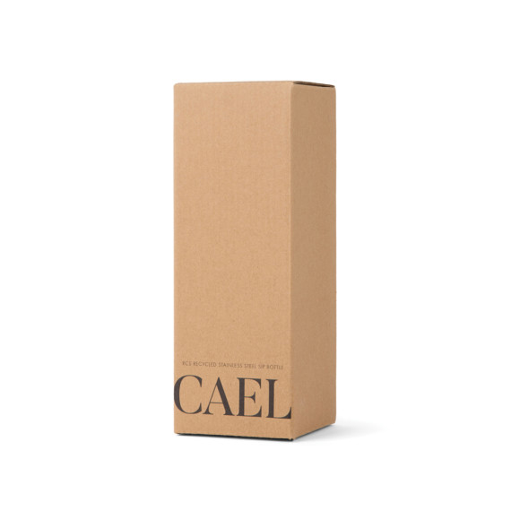 Nerezová láhev VINGA Cael 600 ml z RCS