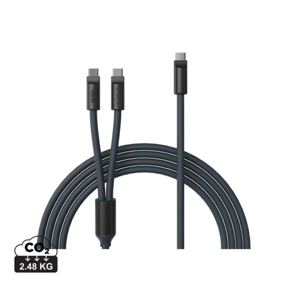 Multifunkční nabíjecí kabel VINGA Baltimore (C+2C)