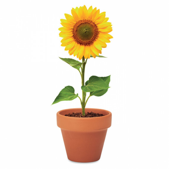SUNFLOWER, Terakotový květináč slunečnice