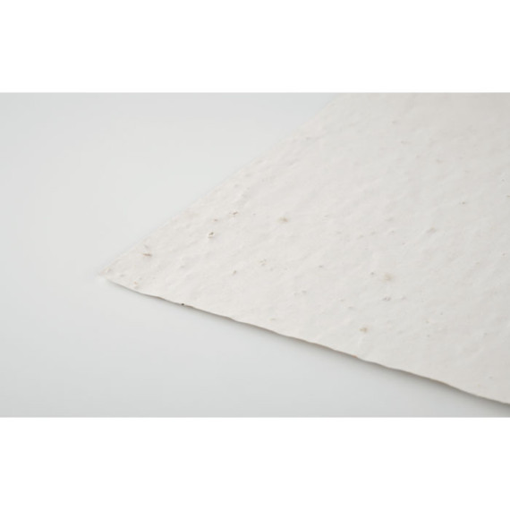 ASIDI, List A4 se semínky květin