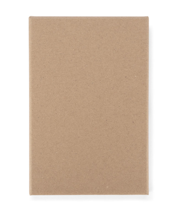 Indukční nabíječka PARO