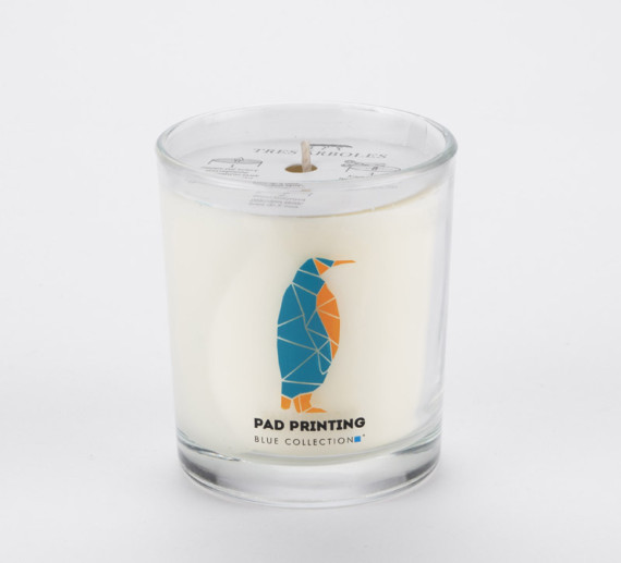 Sójová svíčka 170 g - Plum & Patchouli - VERA YOUNG