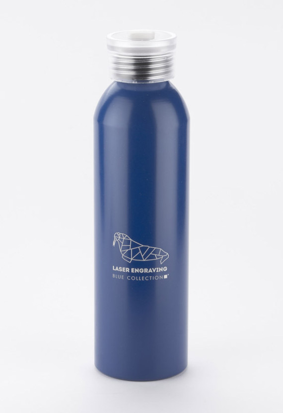 Hliníková láhev ALLUMI 650 ml