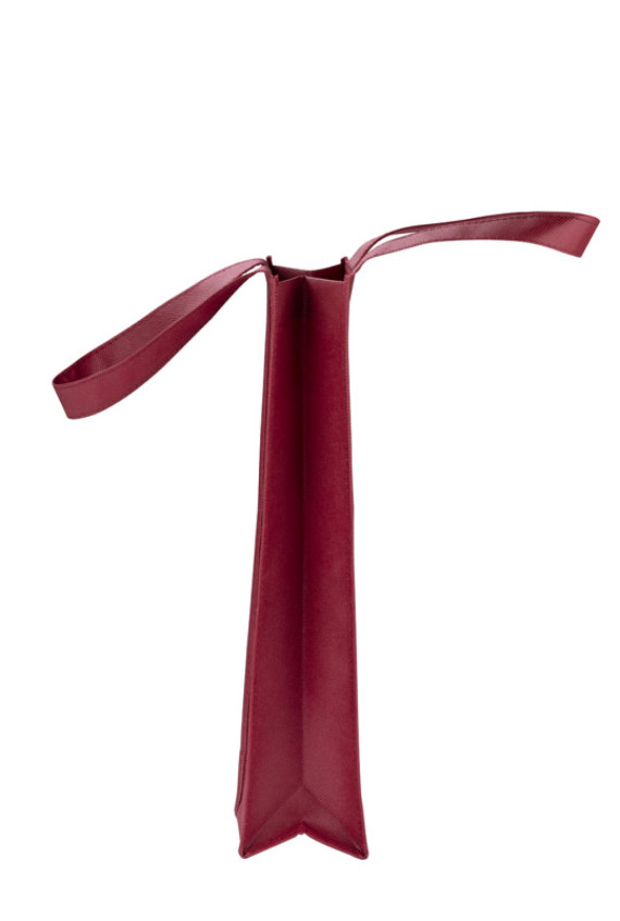 Taška na víno BINU