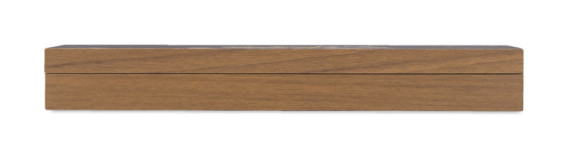 Laserové ukazovátko PRES