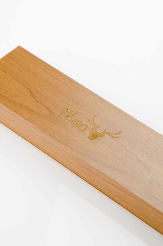 Laserové ukazovátko PRES