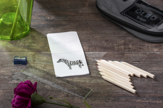 Pastelky s omalovánkou DECOR