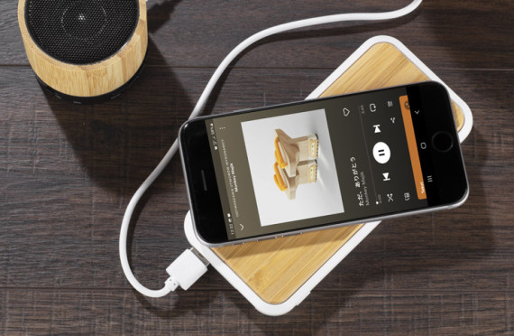 Powerbanka RONI 10000 mAh