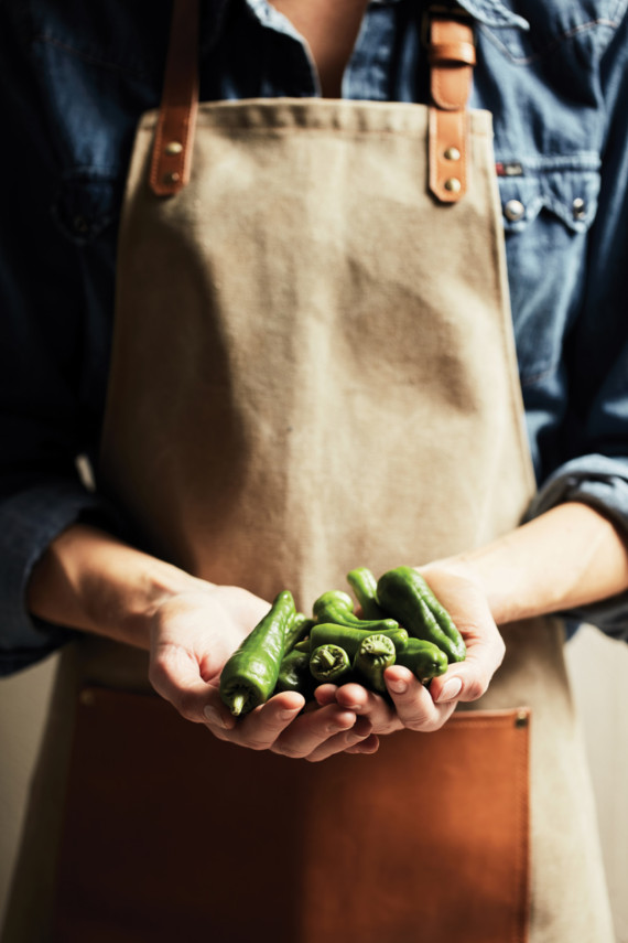 Zástěra VINGA Asado