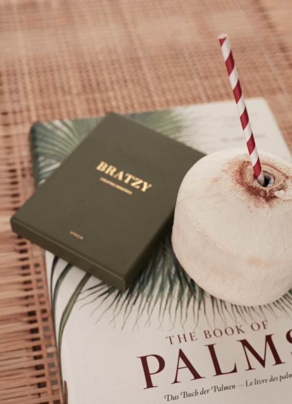 Hra na konferenční stolek VINGA Bratzy