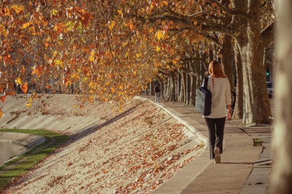Nedobytný batoh & brašna Bobby Bizz 2.0